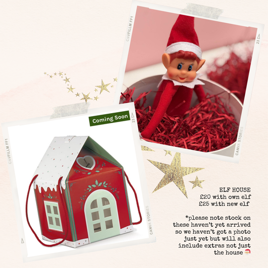 COLLECTION GOOLE - WINTER HOUSE ELF BALLOON